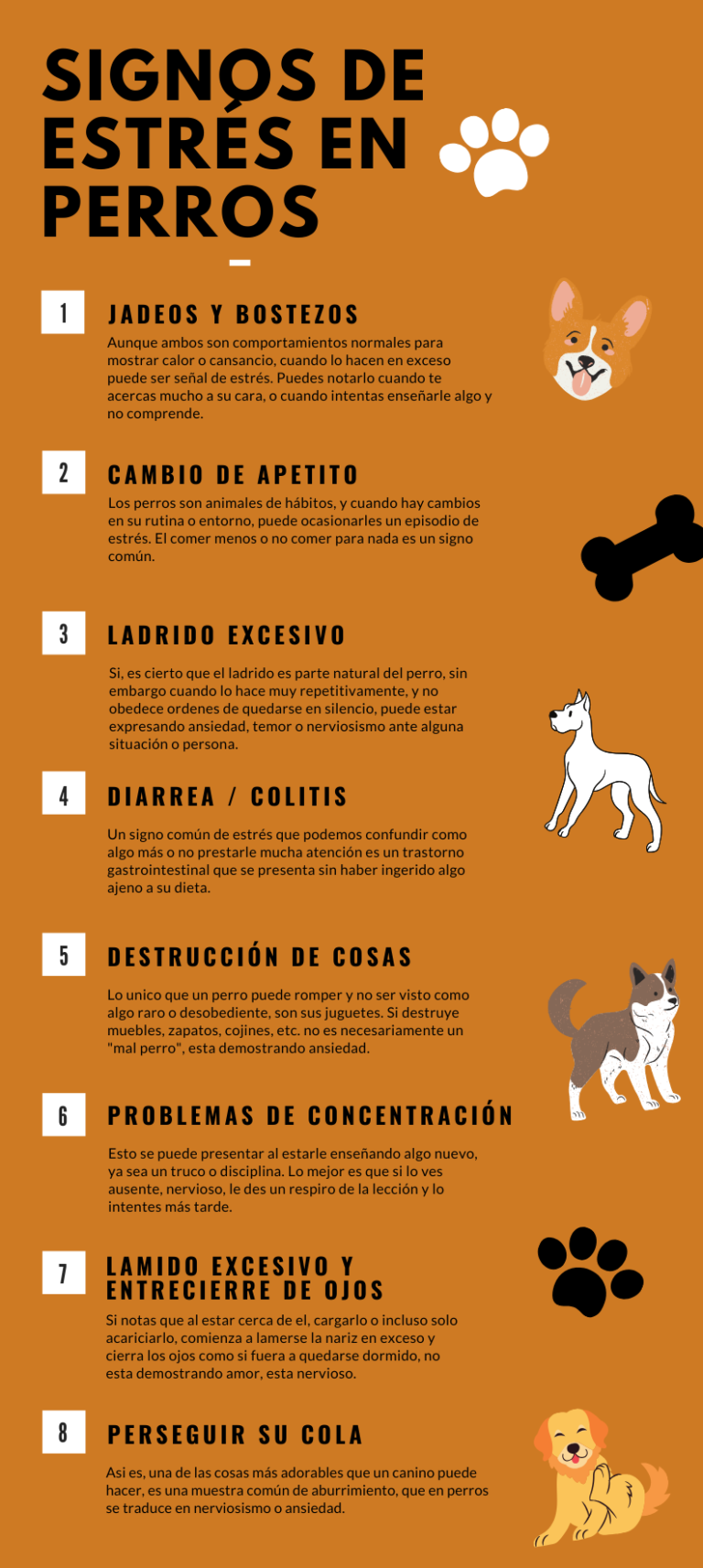 Signos de Estrés en Perros Vulpez