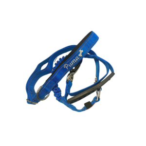 Correa All-in-1 Personalizada 2.0