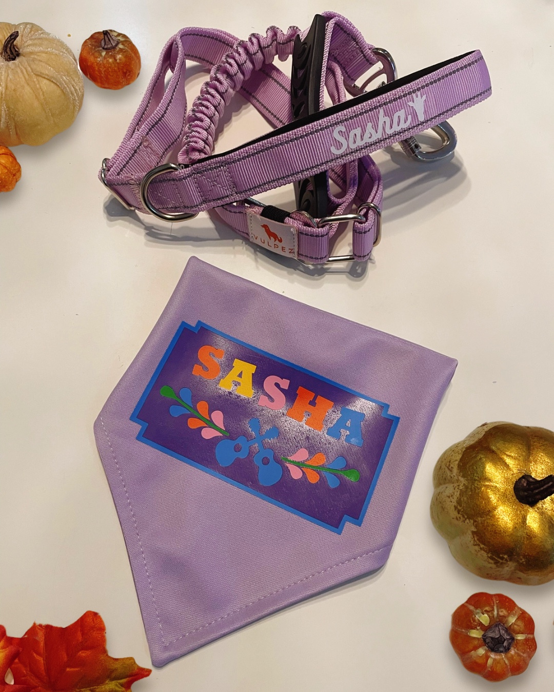 Combo Correa + Bandana personalizada - Image 5