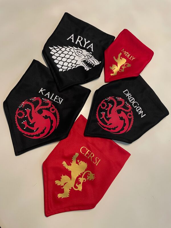 Combo Correa + Bandana personalizada - Image 6