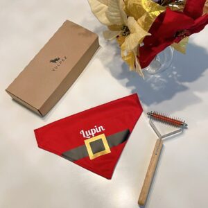 Combo Deslanador + Bandana Personalizada