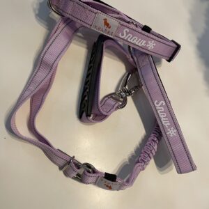 Combo Correa + Collar