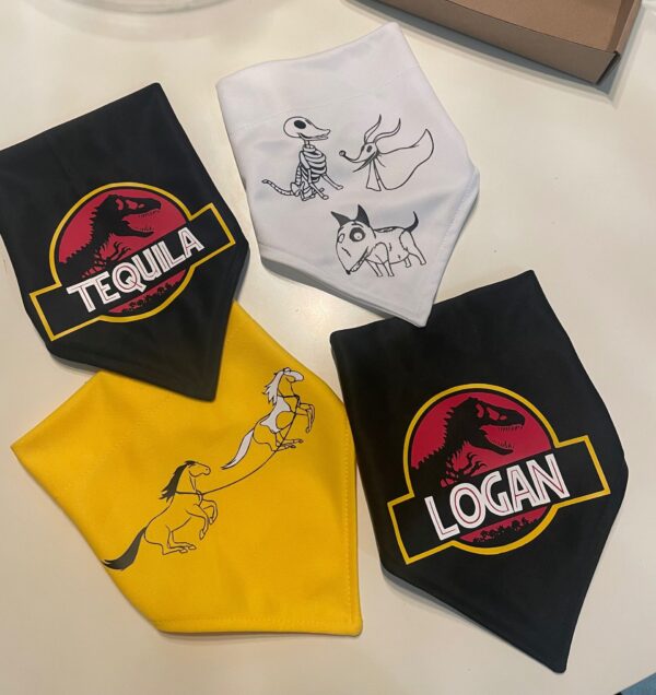 Bandana del Mes - Image 4