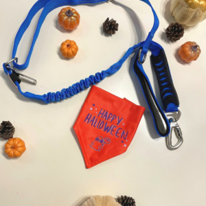 Combo Correa + Bandana personalizada