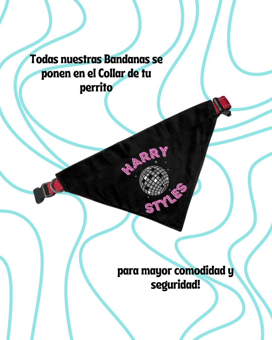 Collar + Bandana Personalizada - Image 6
