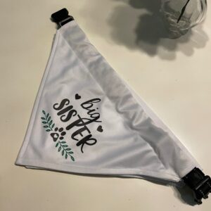 Collar + Bandana Personalizada